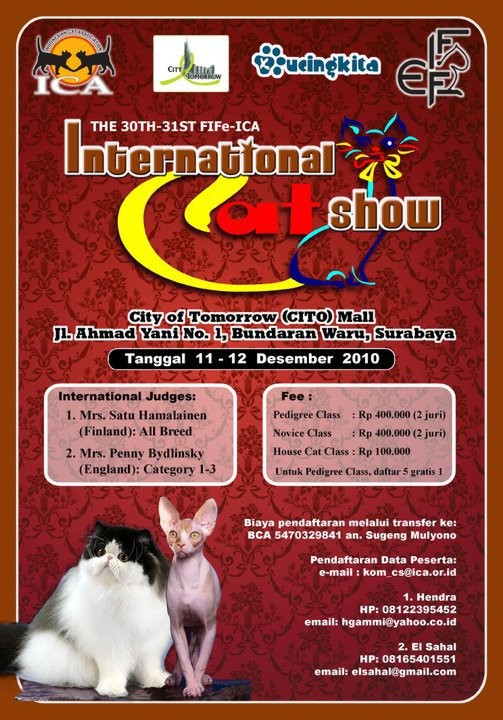 30th-31st ICA-FIFe International Catshow