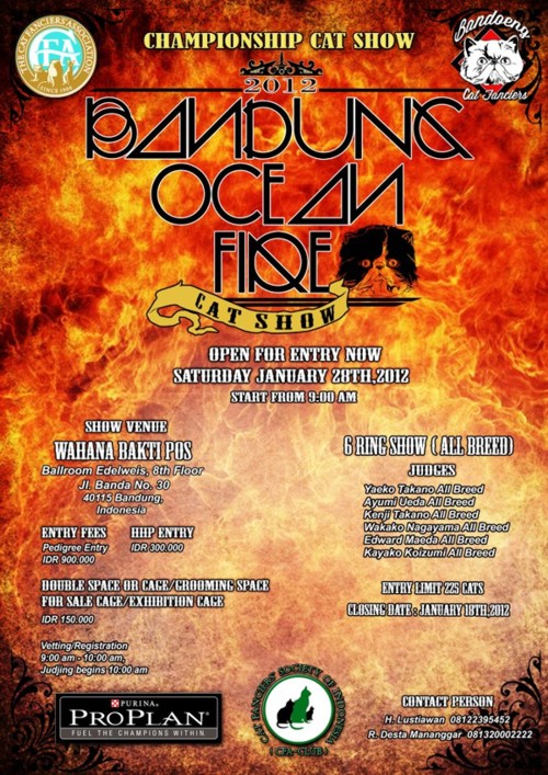 cat show cfa bandung januari 2012